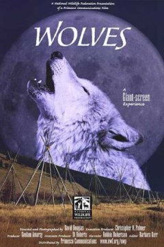Постер: Волки
