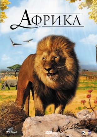 Постер к фильму Африка 3D