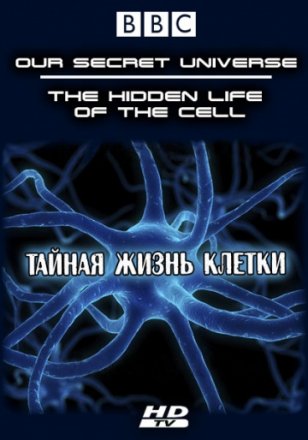 Постер к фильму Внутренняя вселенная: Тайная жизнь клетки
